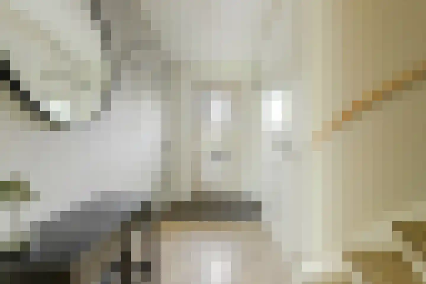 Kapiteel 13 Waddinxveen thumbnail 22