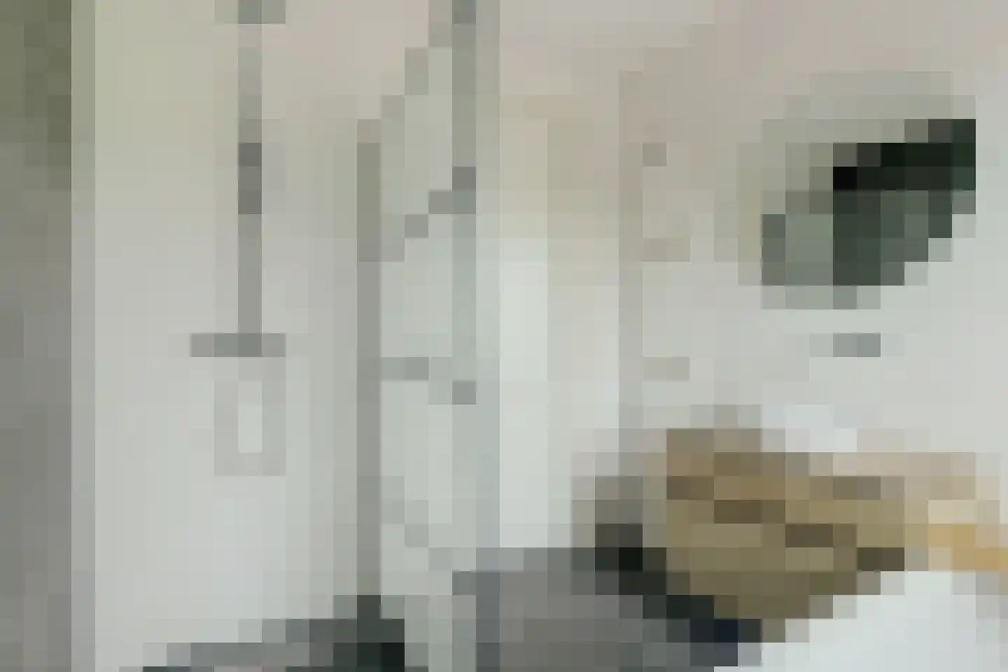 Kapiteel 13 Waddinxveen thumbnail 28