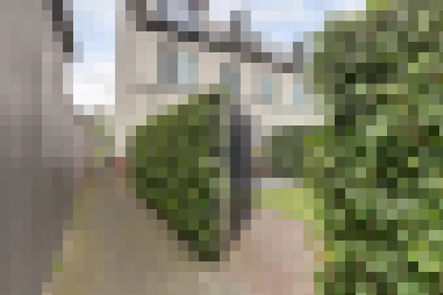 Kapiteel 13 Waddinxveen thumbnail 40