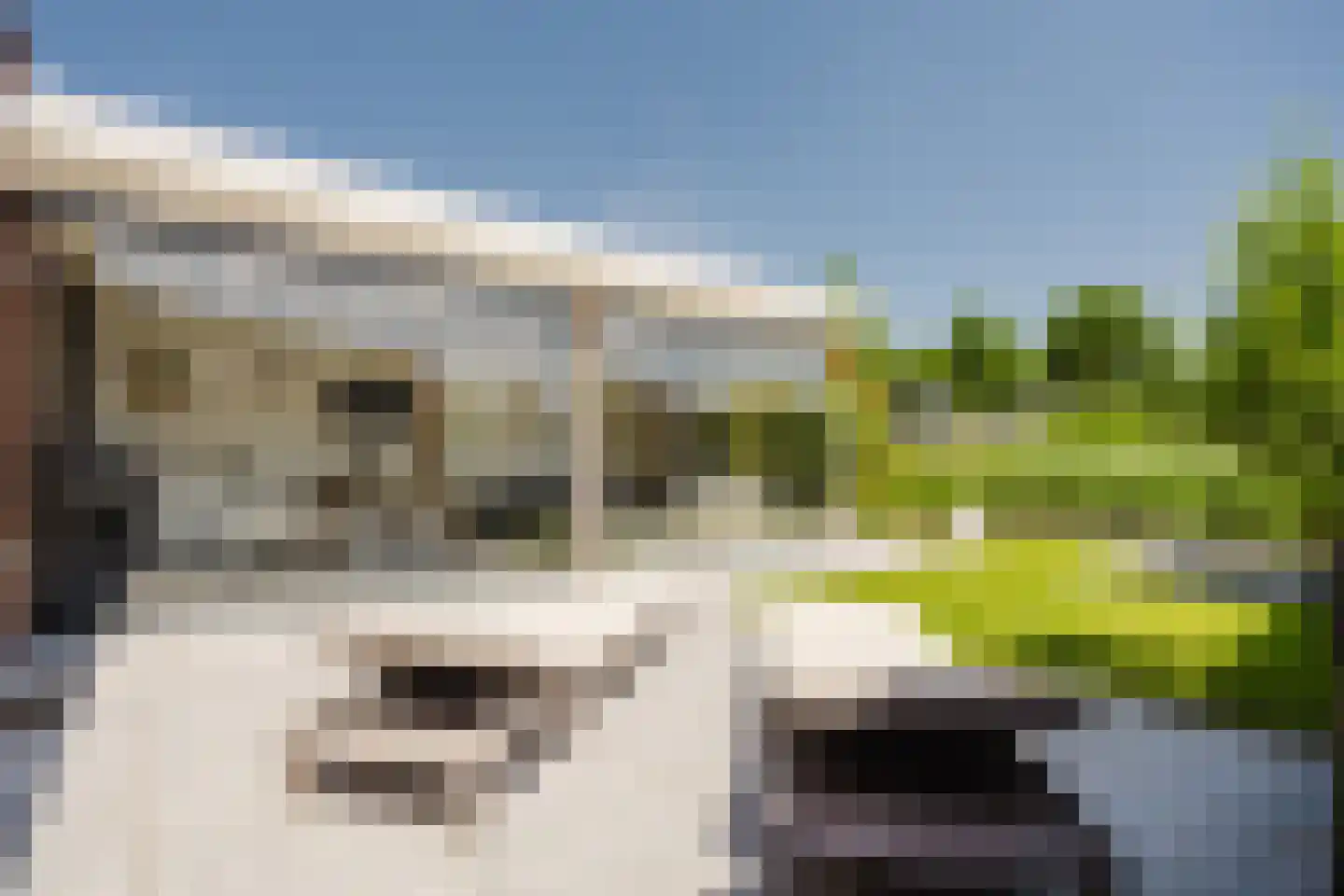Kapitein 16 Gorinchem thumbnail 10