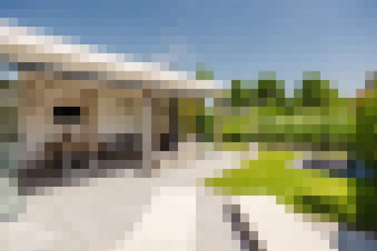 Kapitein 16 Gorinchem thumbnail 12