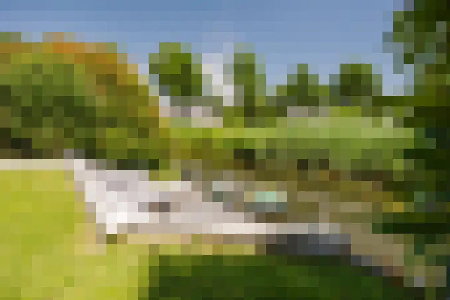 Kapitein 16 Gorinchem thumbnail 13