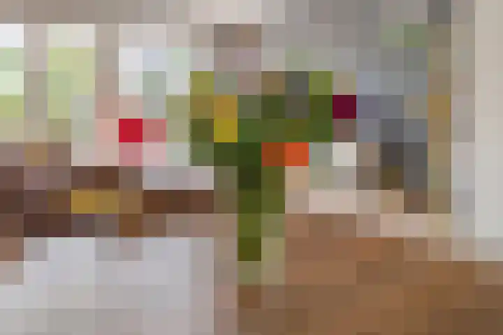 Kapitein 4 Gorinchem thumbnail 11