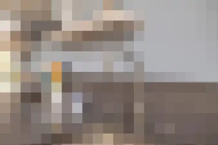 Kapitein 4 Gorinchem thumbnail 13