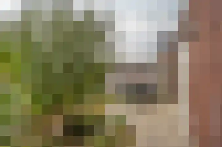 Kapitein 4 Gorinchem thumbnail 14