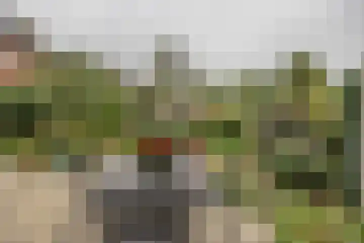 Kapitein 4 Gorinchem thumbnail 15