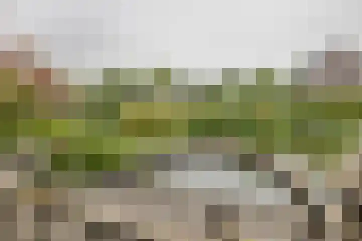 Kapitein 4 Gorinchem thumbnail 17