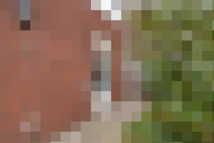 Kapitein 4 Gorinchem thumbnail 18