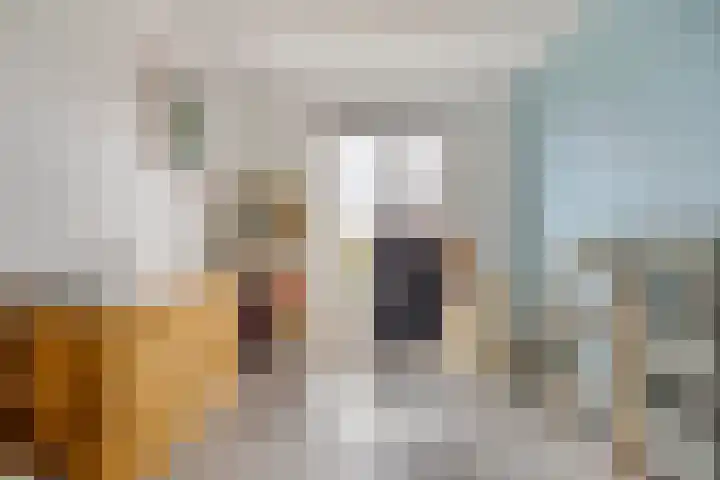 Kapitein 4 Gorinchem thumbnail 27