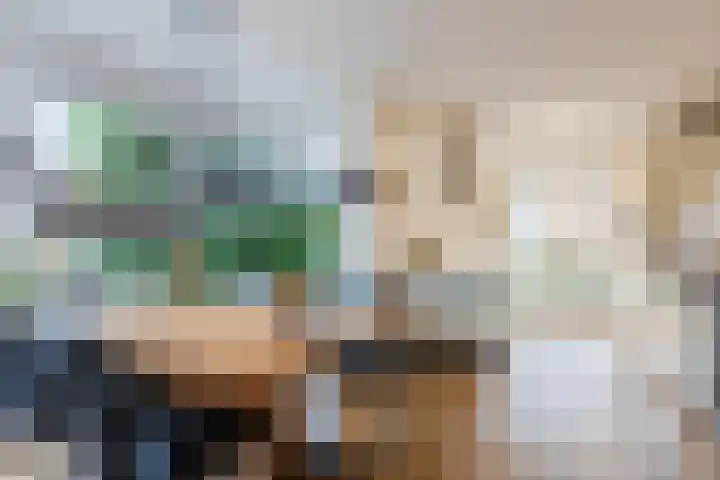Kapitein Boscampbrink 39 Halsteren thumbnail 16
