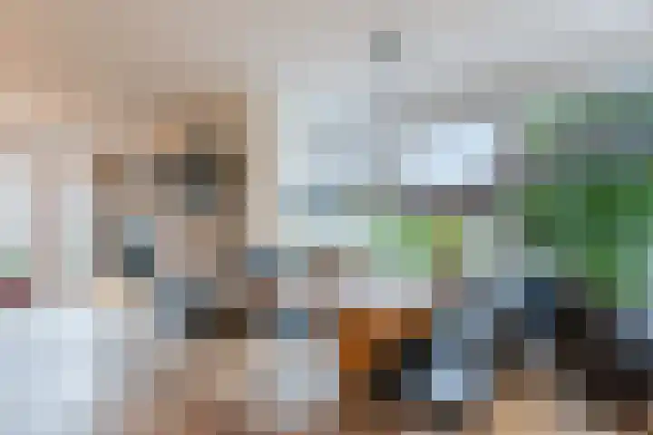 Kapitein Boscampbrink 39 Halsteren thumbnail 17
