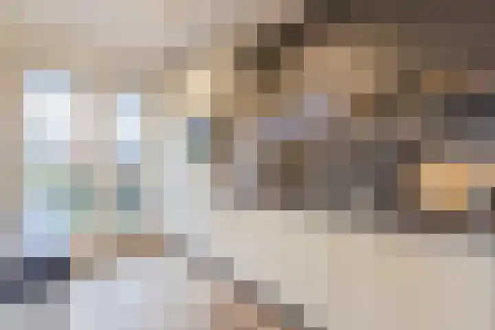 Kapitein Boscampbrink 39 Halsteren thumbnail 18