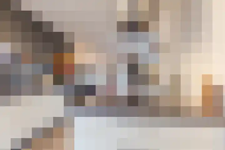 Kapitein Boscampbrink 39 Halsteren thumbnail 21