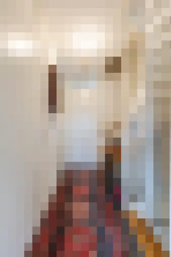 Kapitein Boscampbrink 39 Halsteren thumbnail 22