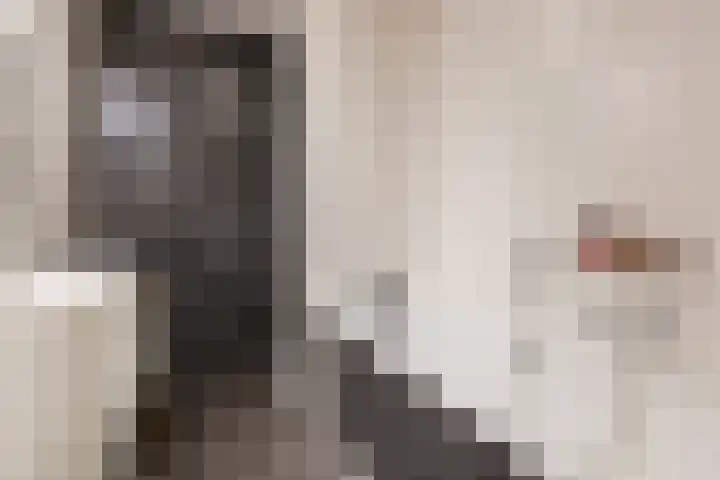 Kapitein Boscampbrink 39 Halsteren thumbnail 35
