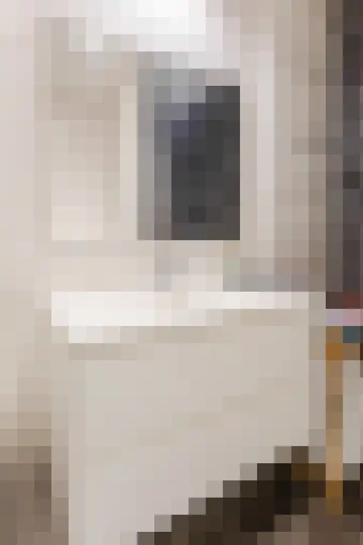 Kapitein Boscampbrink 39 Halsteren thumbnail 37
