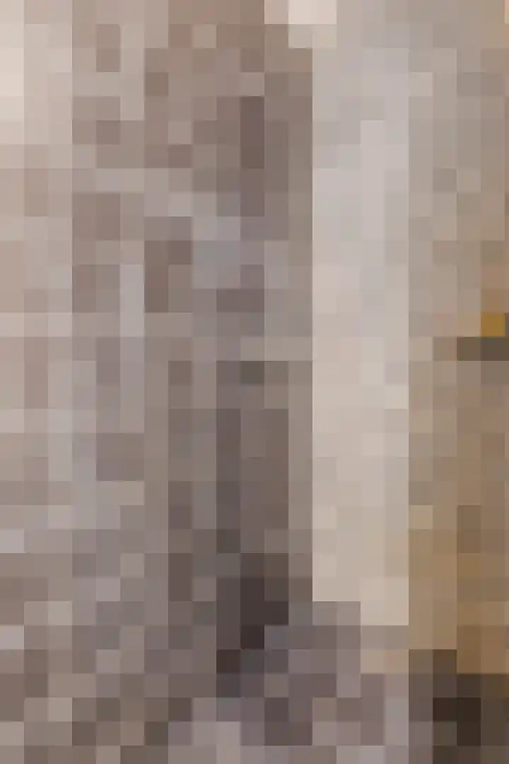 Kapitein Boscampbrink 39 Halsteren thumbnail 38