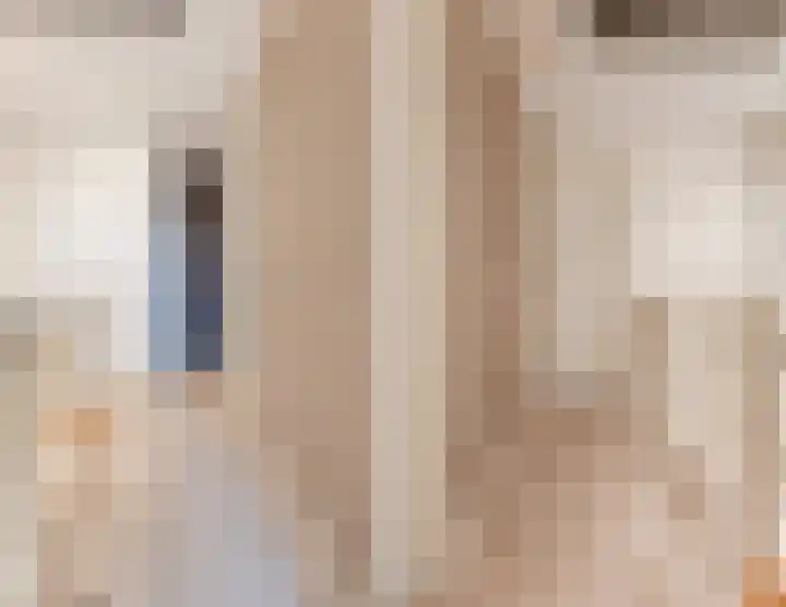 Kapitein Boscampbrink 39 Halsteren thumbnail 42