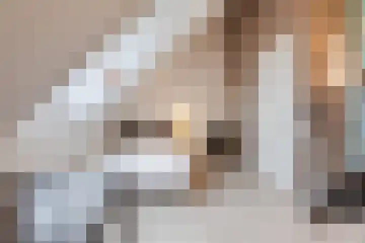 Kapitein Boscampbrink 39 Halsteren thumbnail 47