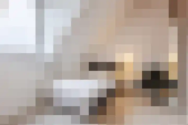 Kapitein Boscampbrink 39 Halsteren thumbnail 48
