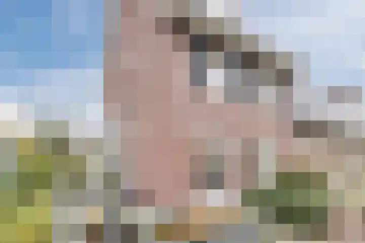 Kapitein Boscampbrink 39 Halsteren thumbnail 5