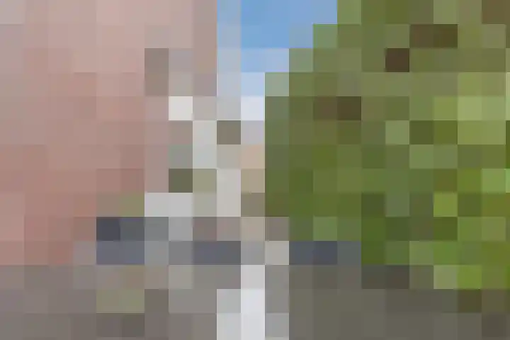 Kapitein Boscampbrink 39 Halsteren thumbnail 50