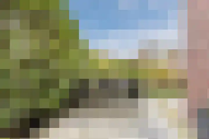 Kapitein Boscampbrink 39 Halsteren thumbnail 51