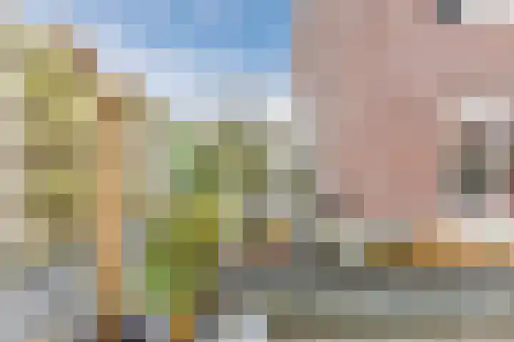 Kapitein Boscampbrink 39 Halsteren thumbnail 54