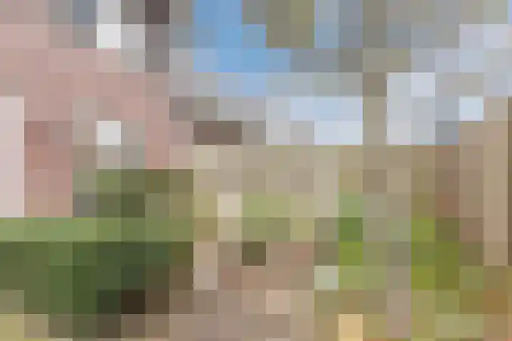Kapitein Boscampbrink 39 Halsteren thumbnail 57