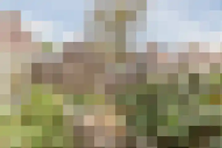 Kapitein Boscampbrink 39 Halsteren thumbnail 58