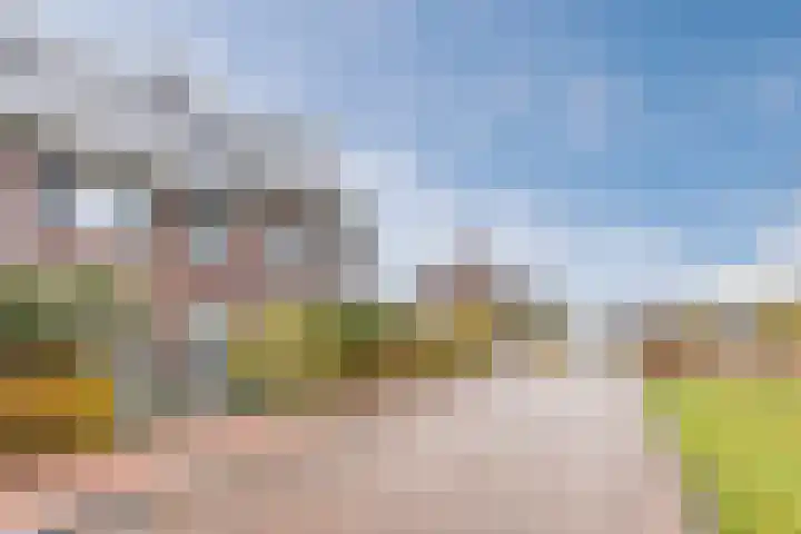 Kapitein Boscampbrink 39 Halsteren thumbnail 8