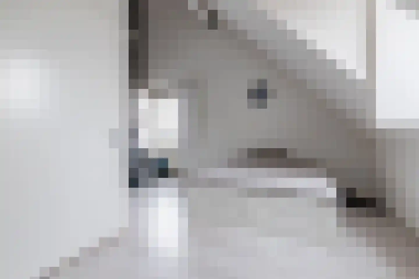Kapitein Boscampbrink 57 Halsteren thumbnail 39