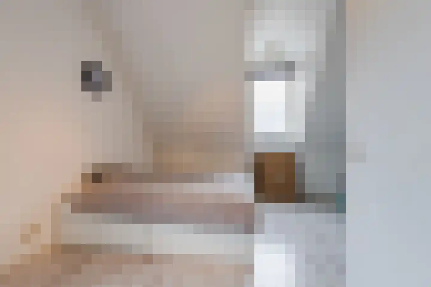 Kapitein Boscampbrink 57 Halsteren thumbnail 42
