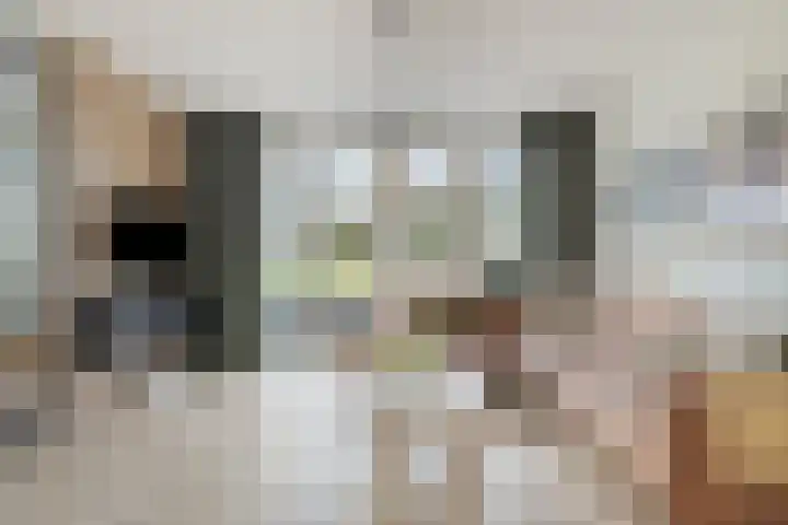 Kapitein Boscampbrink 61 Halsteren thumbnail 11