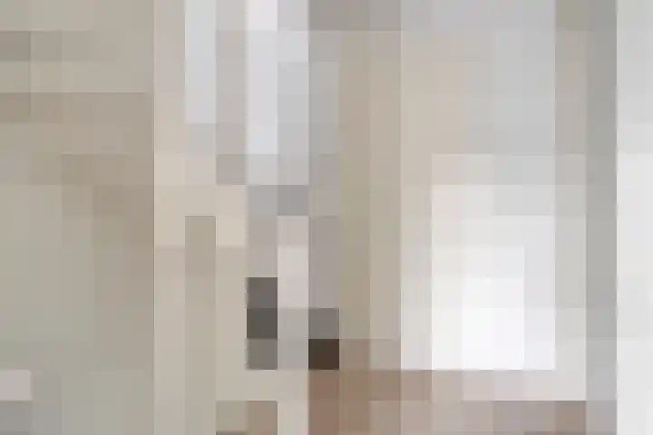 Kapitein Boscampbrink 61 Halsteren thumbnail 18