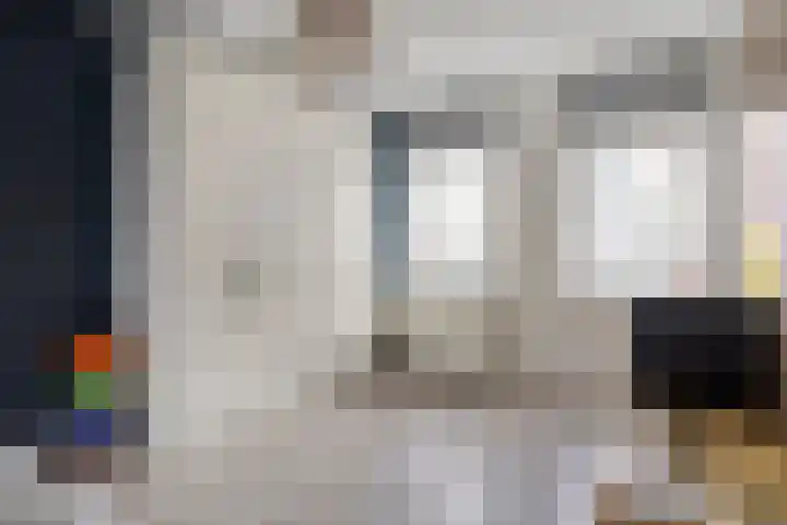 Kapitein Boscampbrink 61 Halsteren thumbnail 20