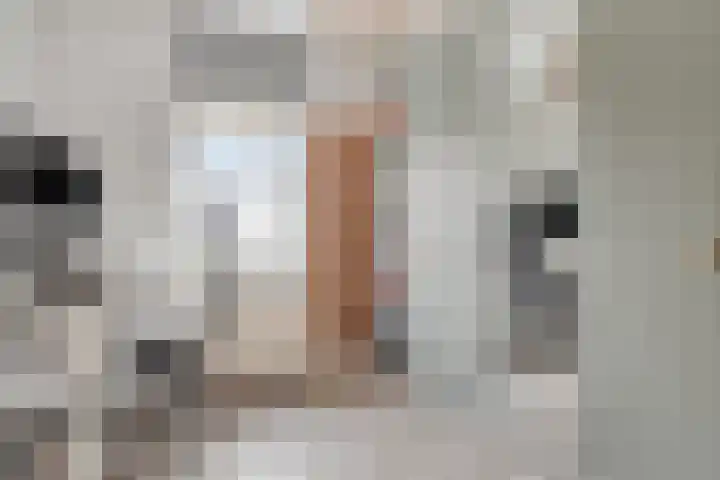 Kapitein Boscampbrink 61 Halsteren thumbnail 21