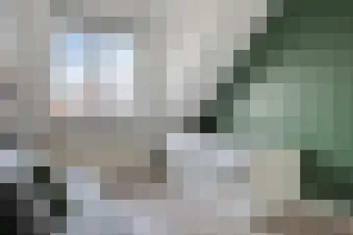 Kapitein Boscampbrink 61 Halsteren thumbnail 22