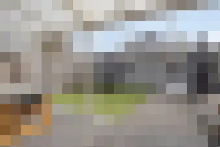 Kapitein Boscampbrink 61 Halsteren thumbnail 28