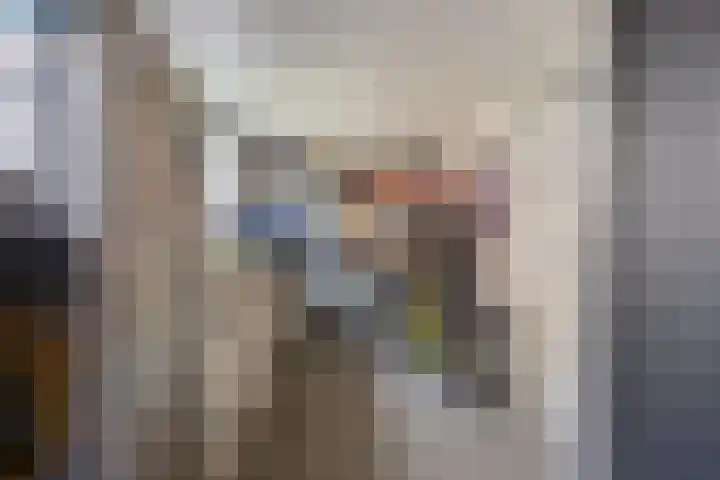 Kapitein Boscampbrink 61 Halsteren thumbnail 31