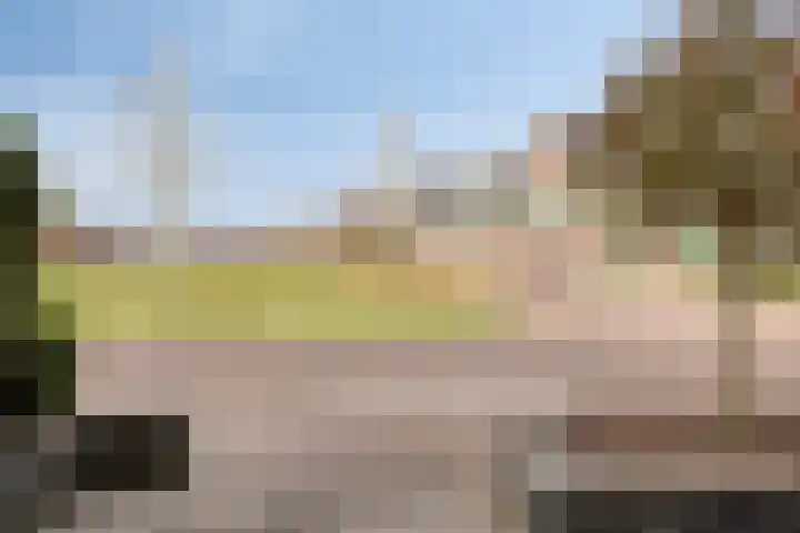 Kapitein Boscampbrink 61 Halsteren thumbnail 35