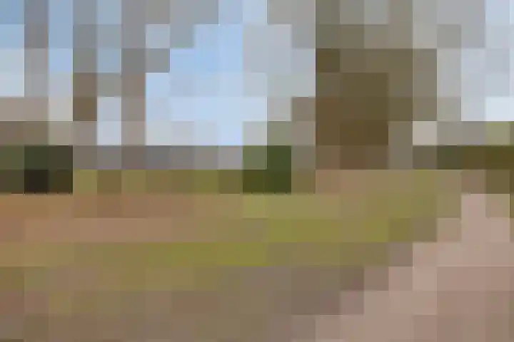 Kapitein Boscampbrink 61 Halsteren thumbnail 36