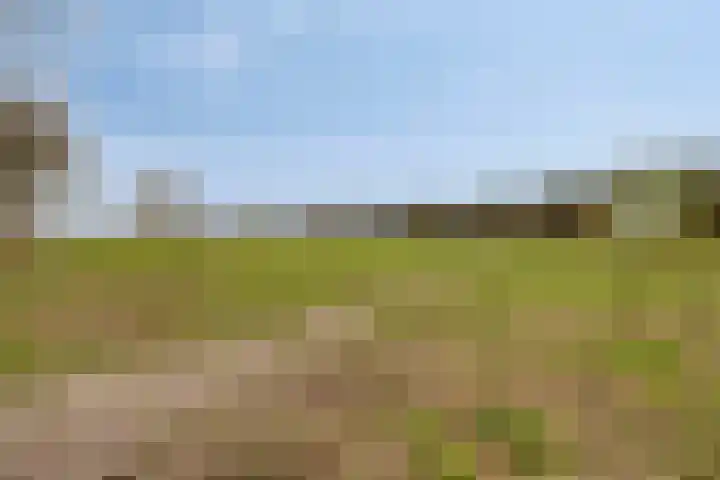 Kapitein Boscampbrink 61 Halsteren thumbnail 37