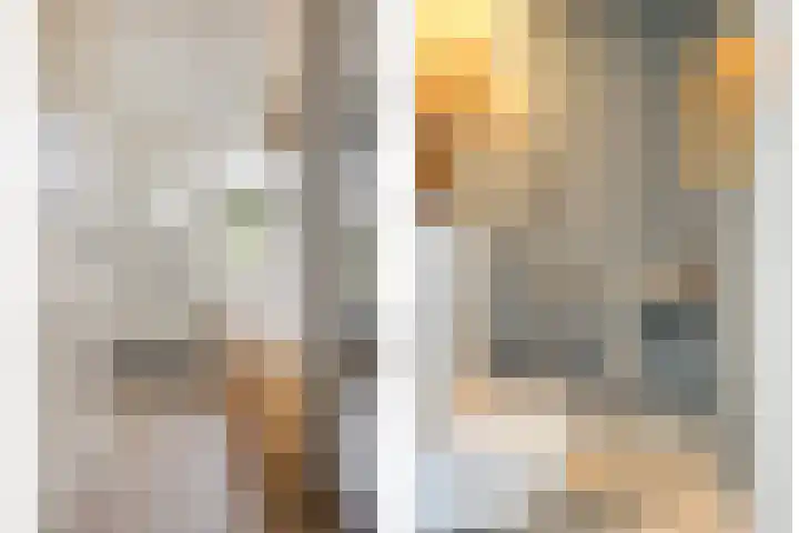 Kapitein Boscampbrink 61 Halsteren thumbnail 8
