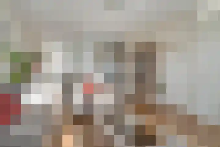 Kapitein Boscampbrink 9 Halsteren thumbnail 11