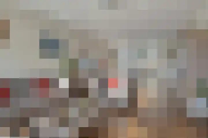Kapitein Boscampbrink 9 Halsteren thumbnail 12