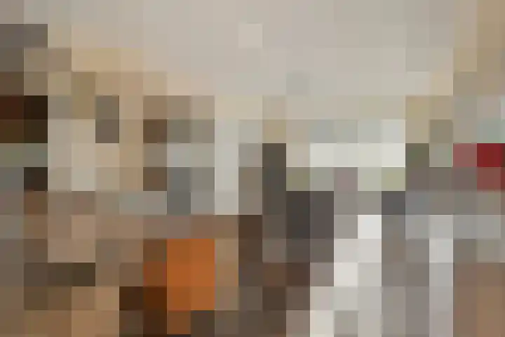 Kapitein Boscampbrink 9 Halsteren thumbnail 13