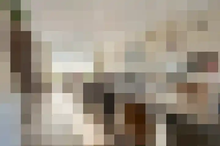 Kapitein Boscampbrink 9 Halsteren thumbnail 14