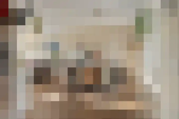 Kapitein Boscampbrink 9 Halsteren thumbnail 15