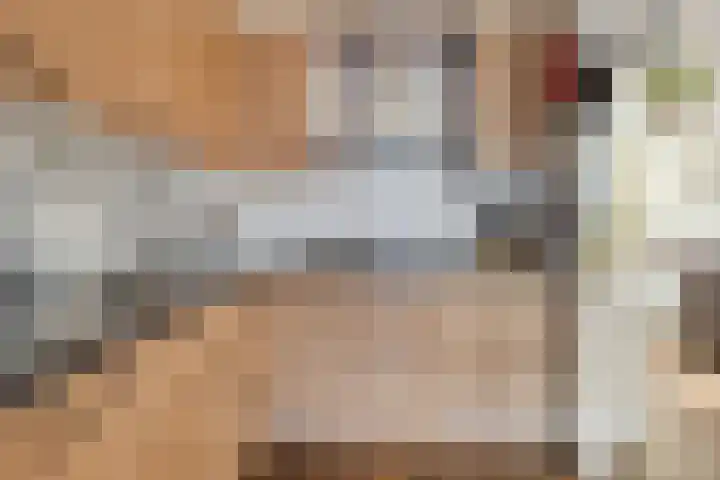 Kapitein Boscampbrink 9 Halsteren thumbnail 16